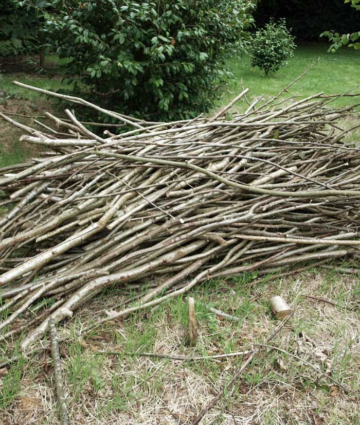 Pile of twigs in backyard